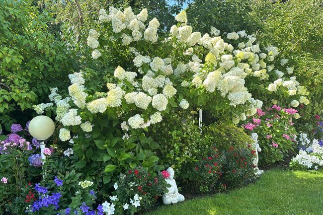Gartenblumen